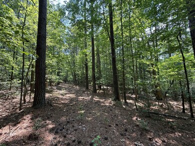 37-39 Field Trial Rd, Lancaster, VA 22503 - photo 5