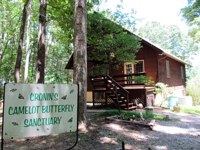 Front View.