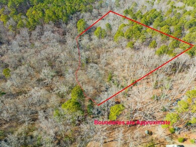 399 Bent Tree, Pittsboro, NC 27312 - photo 4