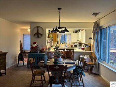 1505 Swiss Village Rd unit 3A, Osage Beach, MO 65065 - photo 6