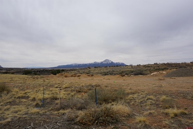 1109 Bluffs Blvd, Cortez, CO 81321 - photo 3