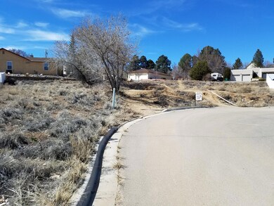 5603 the Greens Ct, Farmington, NM 87402 - photo 2