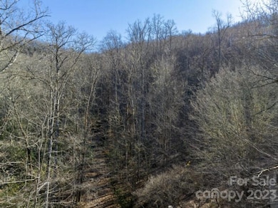 0 Bee Branch Dr unit CAR4027281, Cowee, NC 28734 - photo 4