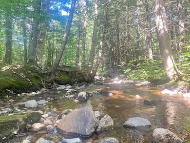 2,4,6 Willis Bean Rd, Eaton, NH 03832 - photo 2