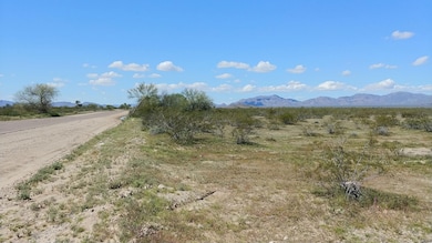 75E and Salome Rd, Salome, AZ 85348 - photo 6