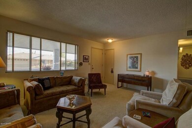 Entry-Living-Great Room