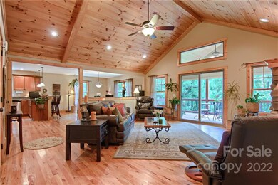 224 Creeks Edge Dr, Hendersonville, NC 28739 - photo 6