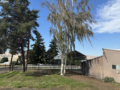 1300 Lambert St, the Dalles, OR 97058 - photo 5