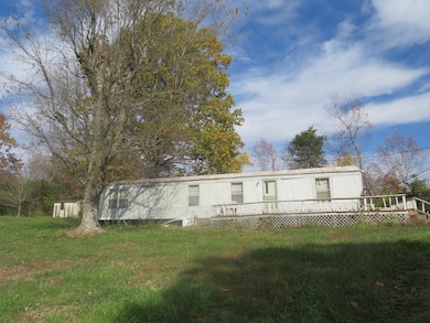 2353 State Rt 209, Olive Hill, KY 41164 - photo 4