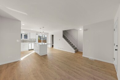 214 N West Ave unit 3, Elmhurst, IL 60126 - photo 3