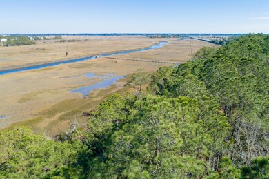 1722 Vireo Ct, Johns Island, SC 29455 - photo 2