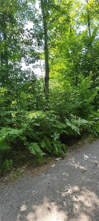 00 Earls Rd unit Lot A, South Berwick, ME 03908 - photo 3