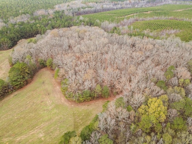 0 Jack Forrester Rd, Mantee, MS 39751 - photo 6