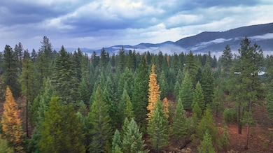 186 Gold Dust Trail, Pioneer Junction, MT 59923 - photo 3