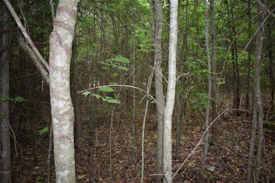 8 A St, Inman, SC 29349 - photo 7