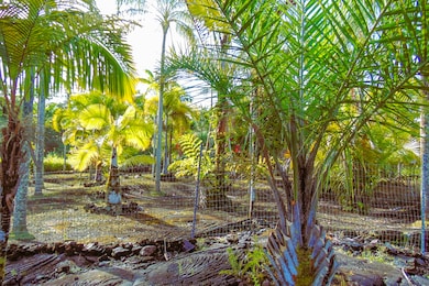 15-2003 3rd Ave, Hawaiian Paradise Park, HI 96749 - photo 4