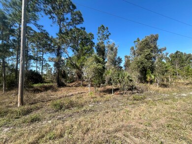 1258 Bowles Ave, Lehigh Acres, FL 33913 - photo 4