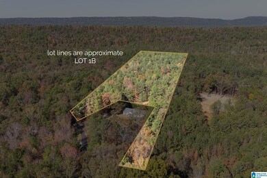 268 Nichols Rd, Chelsea, AL 35043 - photo 5