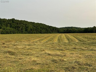 000 Wayne Route D, Greenville, MO 63944 - photo 4