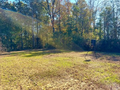 4134 Barton Ferry Rd, Columbus, MS 39705 - photo 7