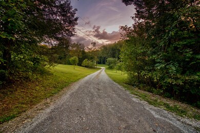 Picturesque country driveway as you enter the property. If you're looking for privacy, look no further!