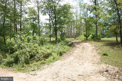 0 Oliver Ln, Great Cacapon, WV 25422 - photo 6