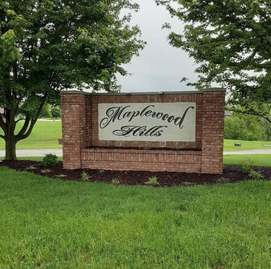 817 E Twin Maple Ct, Nixa, MO 65714 - photo 4