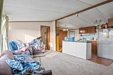 644 Treeline Rd, Grand Ridge, FL 32442 - photo 6