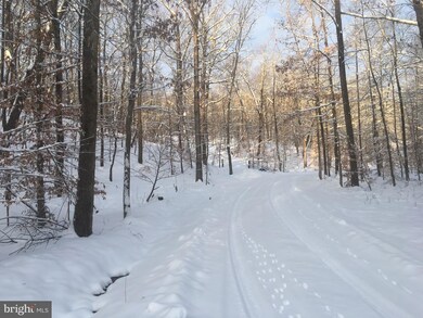 0 Ebenezer Rd unit VACL2001060, Bluemont, VA 20135 - photo 2