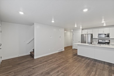Kitchen featuring white cabinets, stainless steel appliances, dark wood finished floors, open floor plan, and recessed lighting