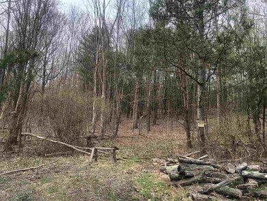 12 Charl Ln, Brunswick, NY 12180 - photo 7