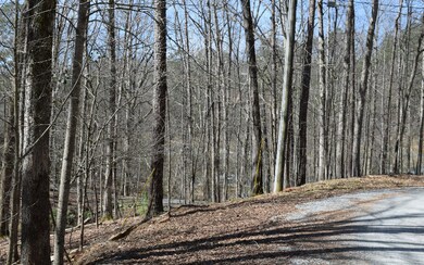 Additional View
