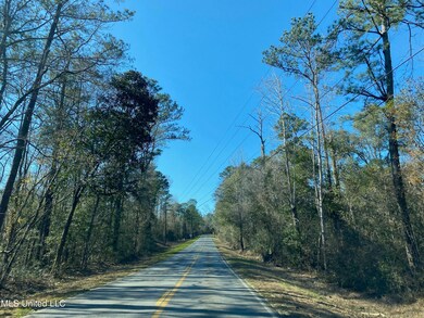 10 Ac Highway 612, Lucedale, MS 39452 - photo 3