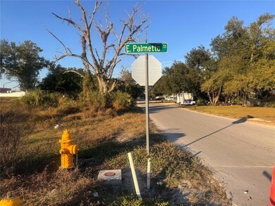 245 S Brevard Ave, Arcadia, FL 34266 - photo 5