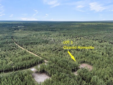 2038 Silas Rd, McClellanville, SC 29458 - photo 3