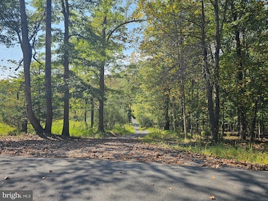 510 Windy Pines Rd, Front Royal, VA 22630 - photo 3