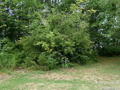 Land/Lot.