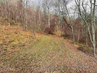 000 Crawford Rd, Crawford, WV 26343 - photo 3