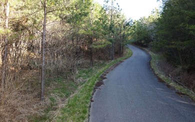 Additional View