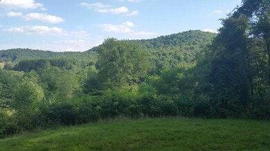 20170725_171858 (800x450)