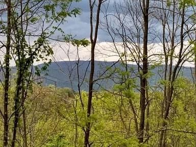 0 Lower Sassafras Pkwy unit 24570415, Dawsonville, GA 30143 - photo 2