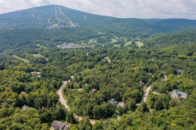 C-18 High Meadow Rd, Winhall, VT 05340 - photo 4