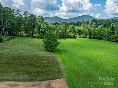 37 Bear Flower Tr unit 35B, Arden, NC 28704 - photo 5