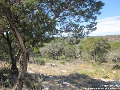 18643 Shadow Canyon Dr, Helotes, TX 78023 - photo 5