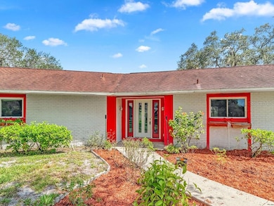 4509 Hickory Creek Ln, Brandon, FL 33511 - photo 4