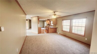 Living room flows into kitchen
