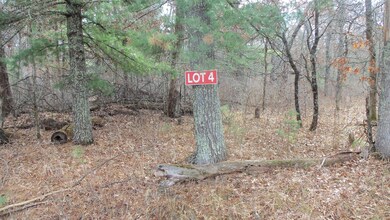 Lot 4 Mclain Rd, Grantsburg Township, WI 54840 - photo 2