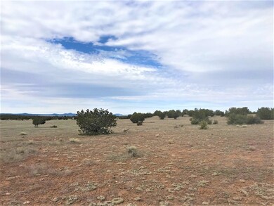 65 Poppy Rd, Ash Fork, AZ 86320 - photo 6