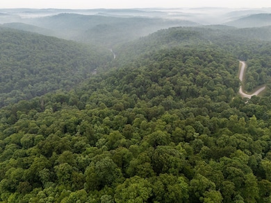 Lot 130 Laurel Loop, Bruceton Mills, WV 26525 - photo 3