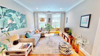 37 University Rd unit 1, Brookline, MA 02445 - photo 3